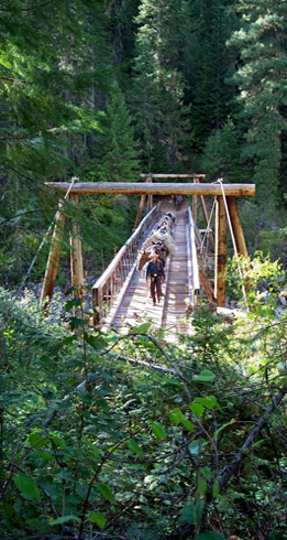 hunting, fishing, trail riding, camping adventures in the Idaho Selway-Bitteroot Wilderness.