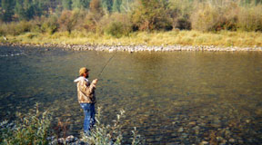 fly in to backcountry Idaho hunting.
