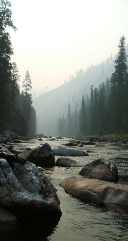 hunting, fishing, trail riding, camping adventures in the Idaho Selway-Bitteroot Wilderness.