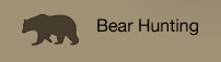 bear hunting