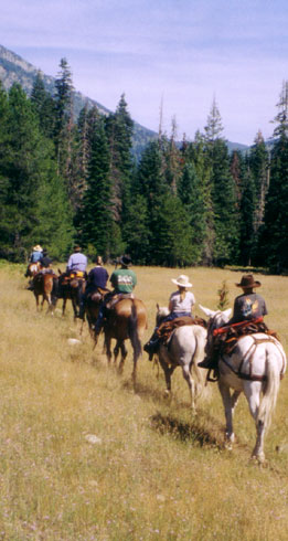 hunting, fishing, trail riding, camping adventures in the Idaho Selway-Bitteroot Wilderness.